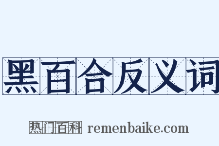 黑百合反义词是什么意思的图片